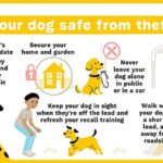 safety advice to protect from dog theft